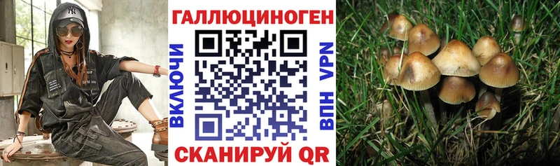Галлюциногенные грибы Cubensis  shop клад  Чкаловск  где продают наркотики 